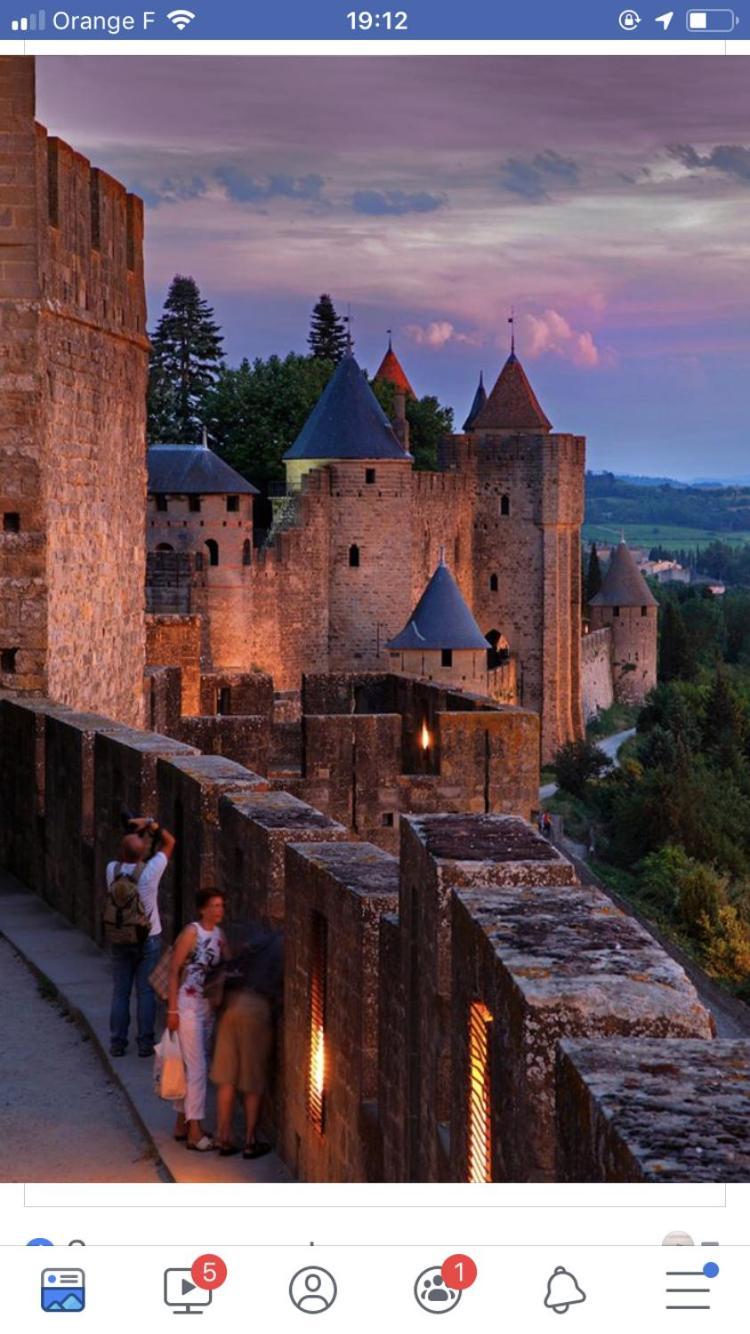 L'Oree De La Cite Carcassonne Exteriér fotografie