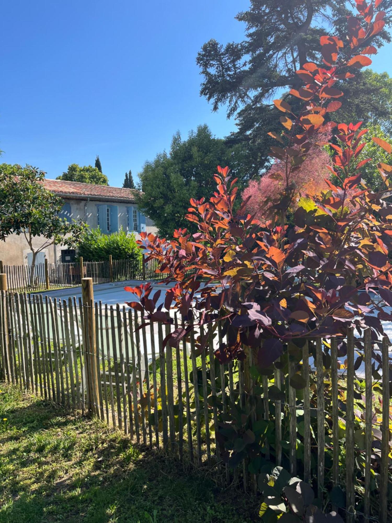 L'Oree De La Cite Carcassonne Exteriér fotografie